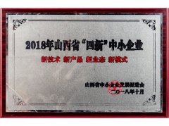 2018年山西省“四新”中小企业 (2)
