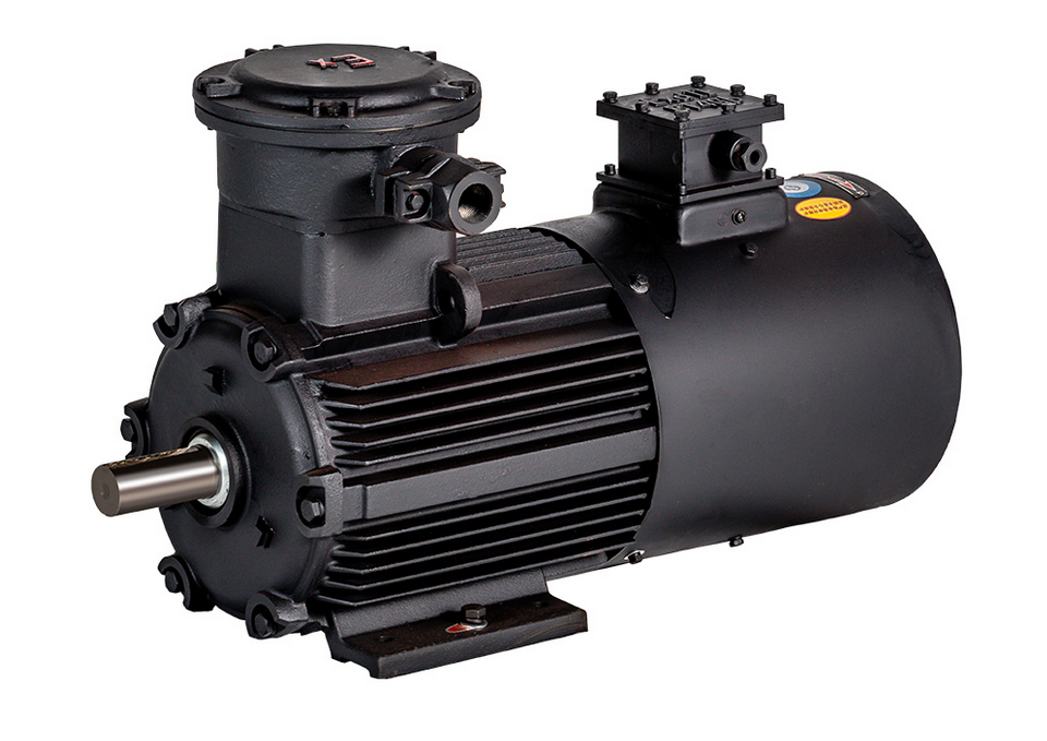 运行中电动机振动较大