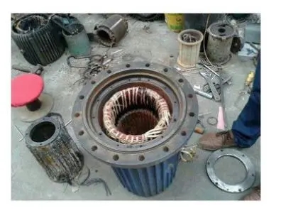 当对防爆电机维护工作时，应注意什么问题?