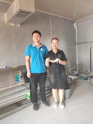 案例展示