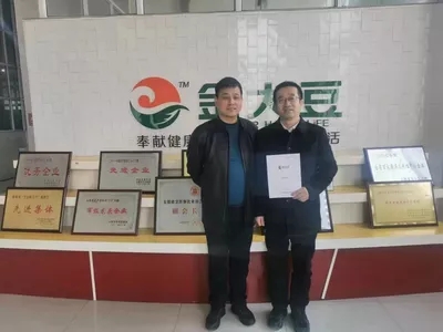 案例展示