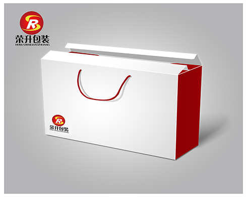 包裝模型 (6)