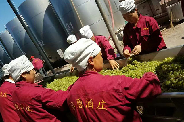 人工筛选