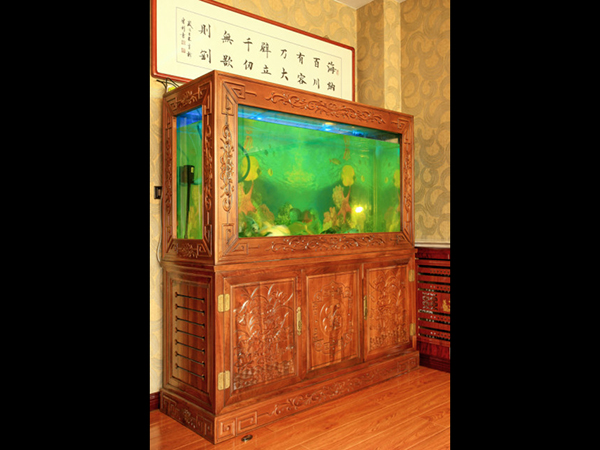 魚(yú)缸