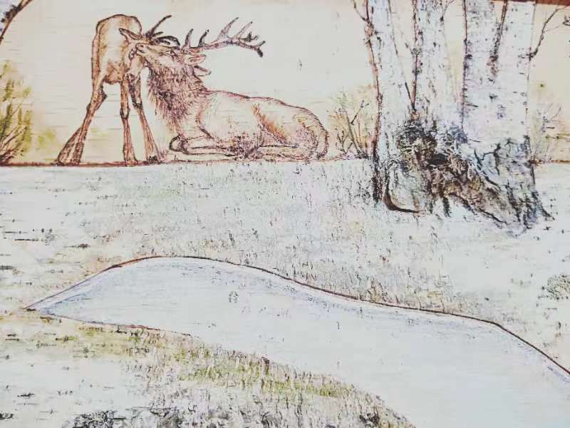 桦树皮画