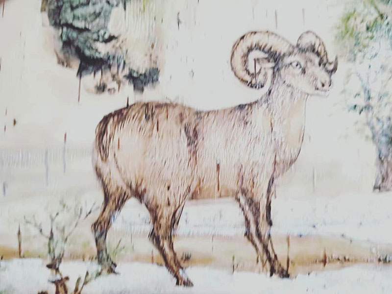 桦树皮画