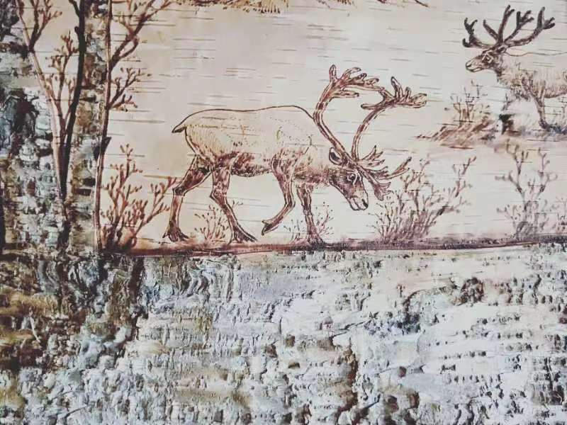 桦树皮画