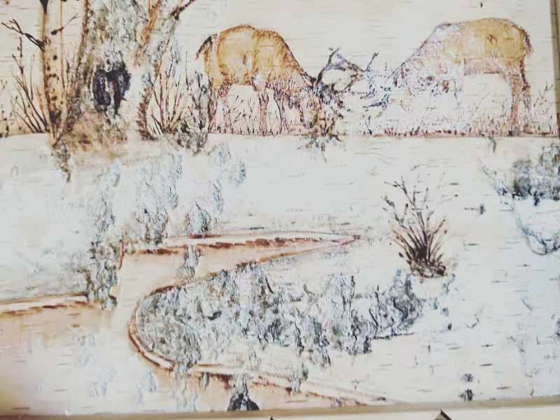 桦树皮画