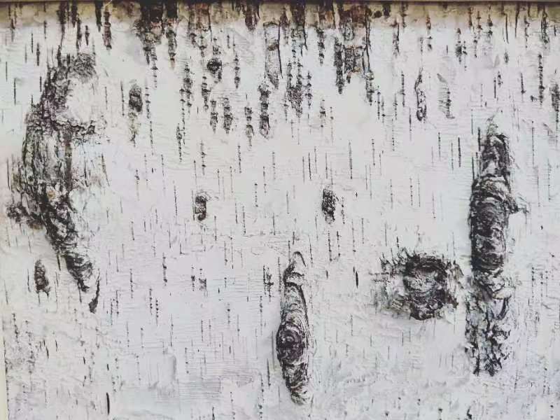 桦树皮画