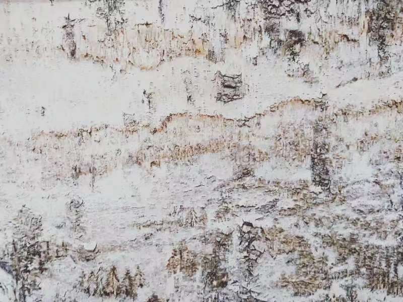 桦树皮画