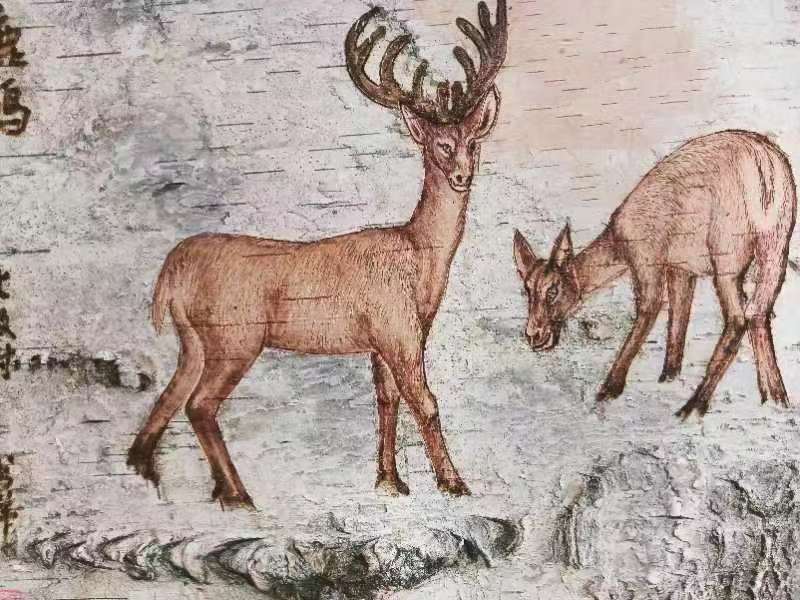桦树皮画