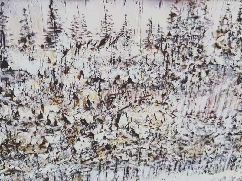 桦树皮画