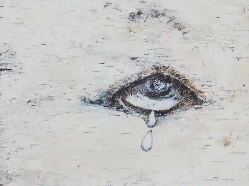 桦树皮画