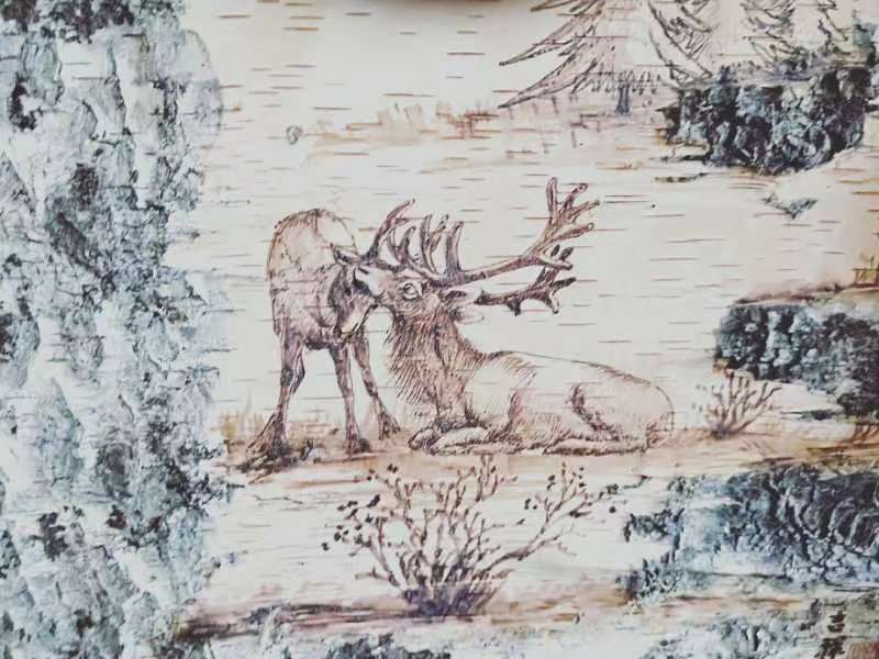 桦树皮画