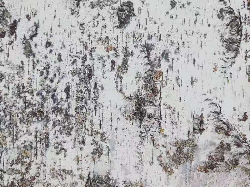 桦树皮画