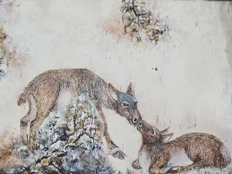 桦树皮画