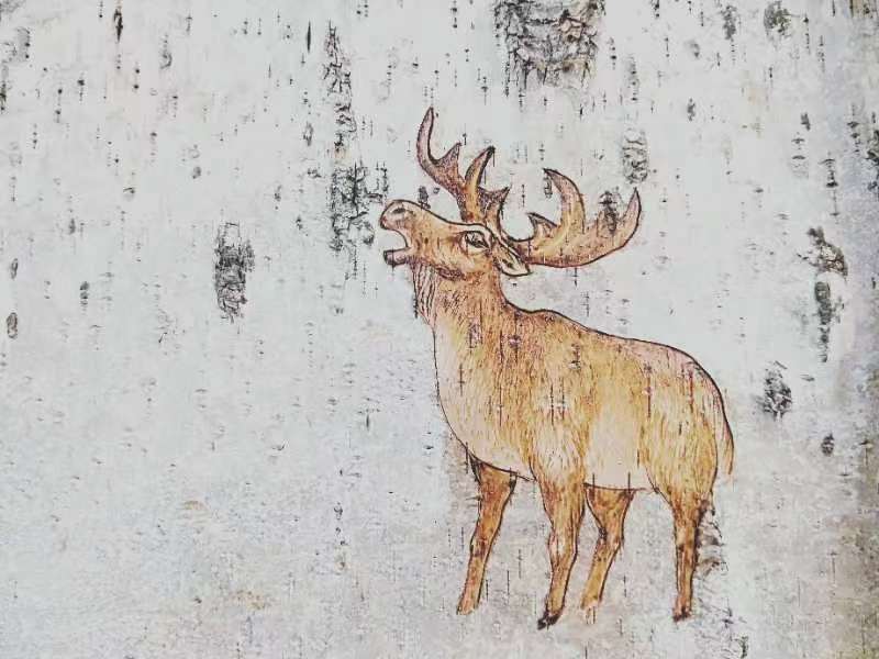 桦树皮画