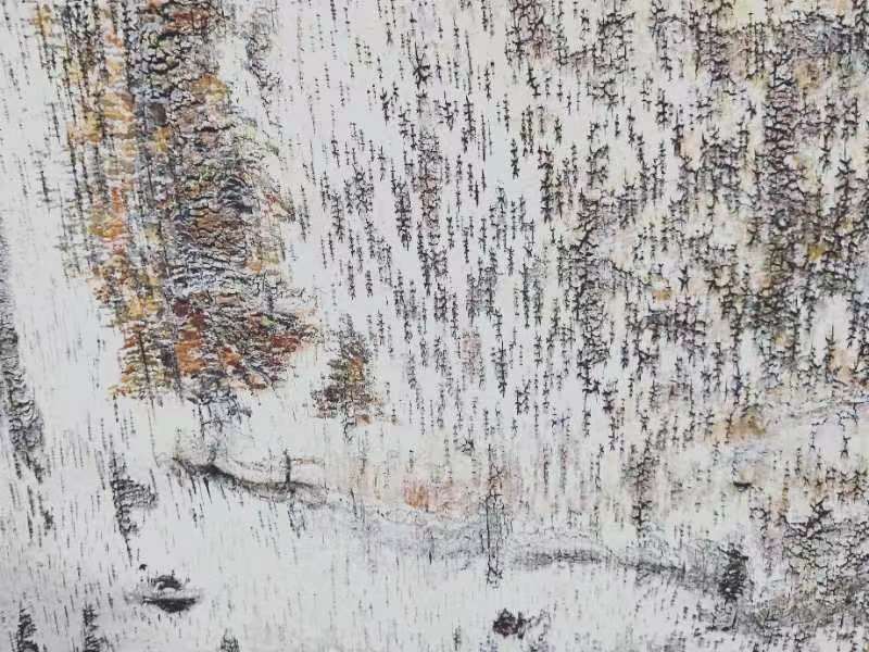 桦树皮画