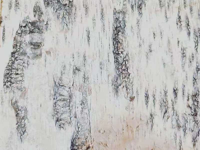 桦树皮画