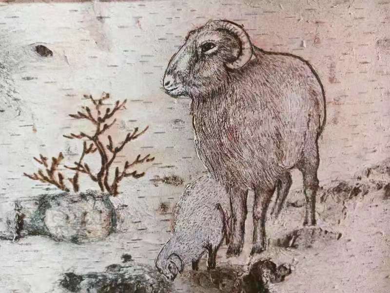 桦树皮画