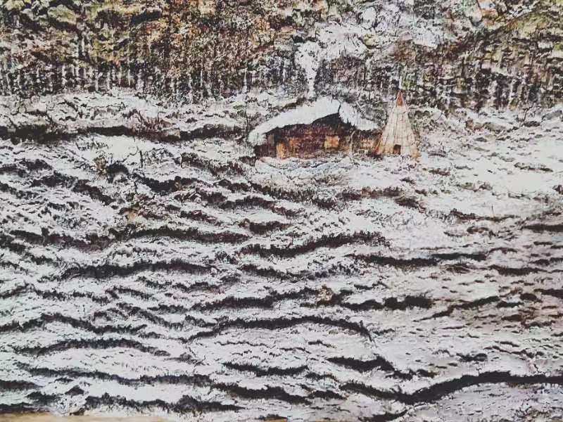 桦树皮画