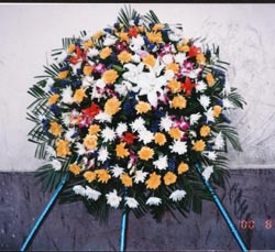鲜花