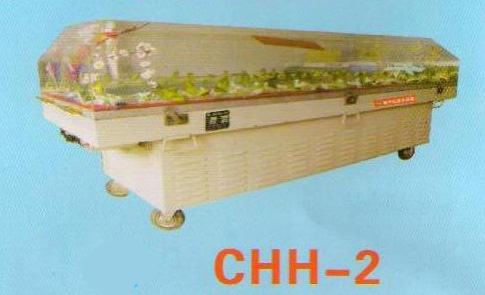 CHH-2