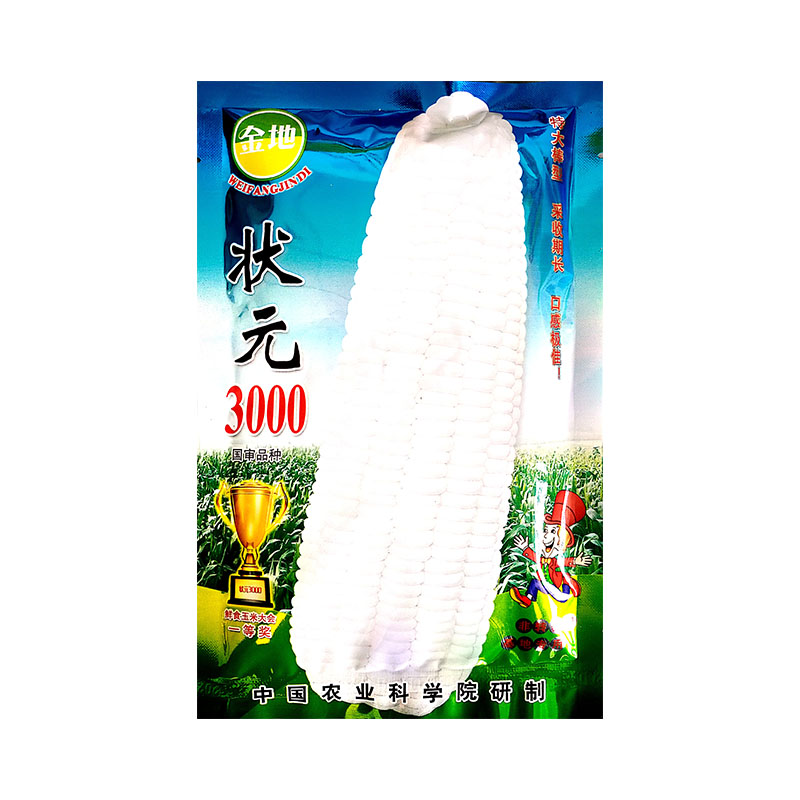 糯玉米