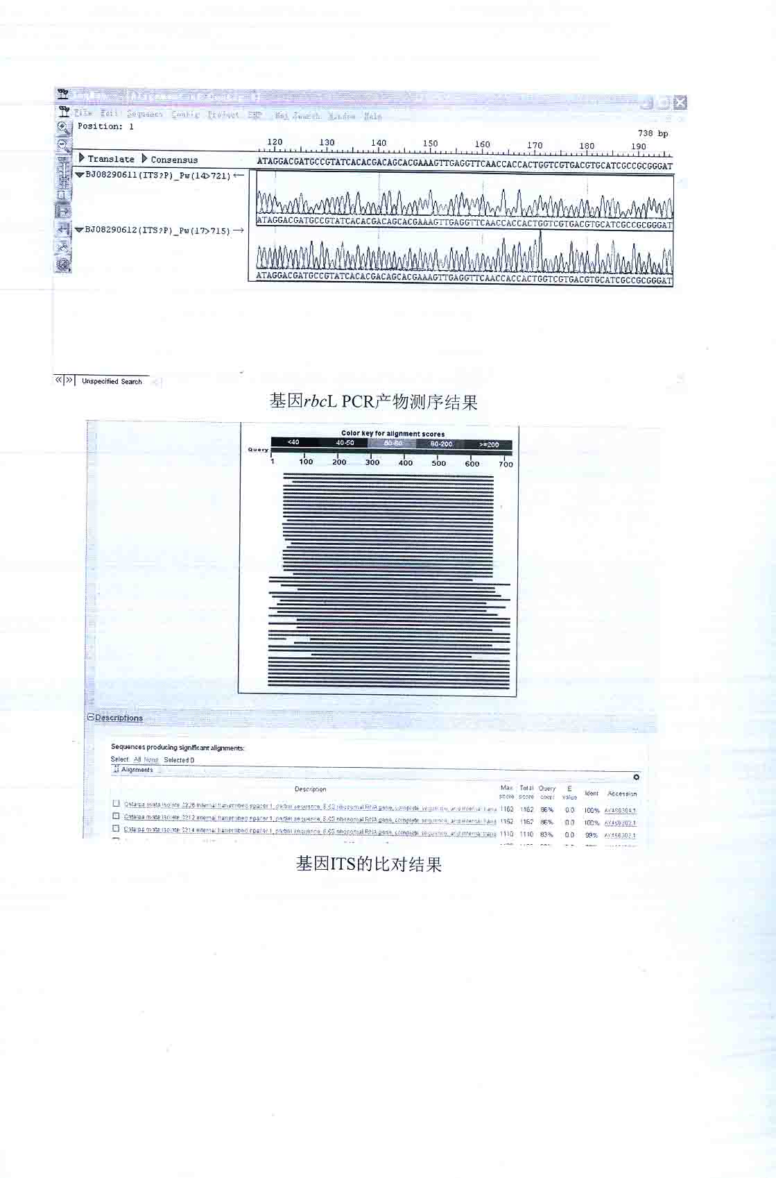 物种鉴别与成分检测21