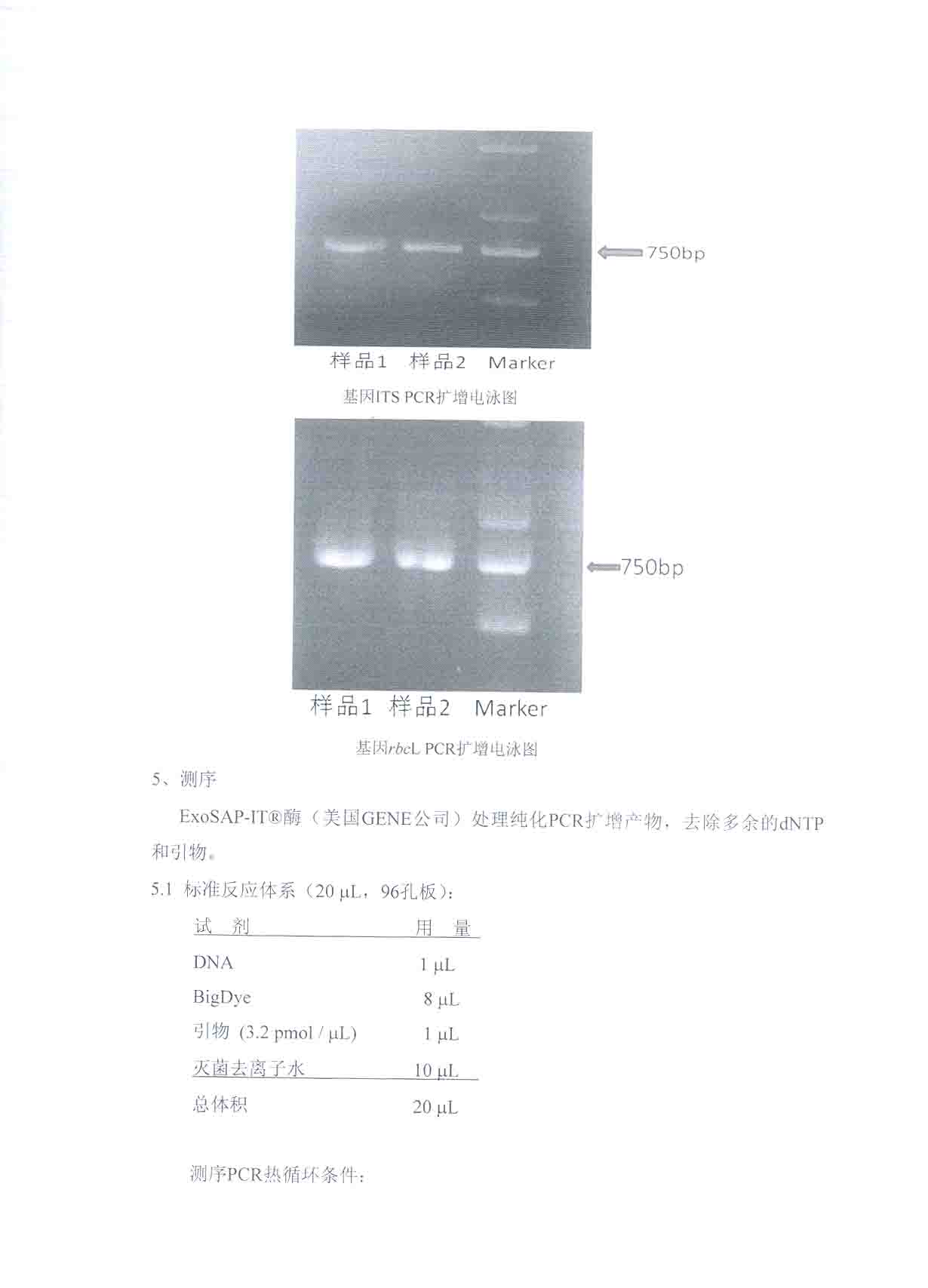 物种鉴别与成分检测19