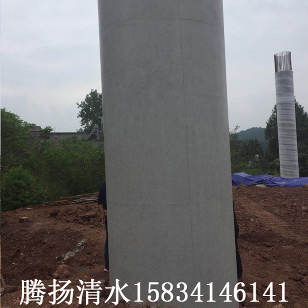簡陽德簡高速公路柱子缺陷修補2000平米