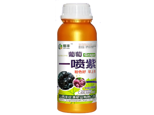 葡萄一喷紫