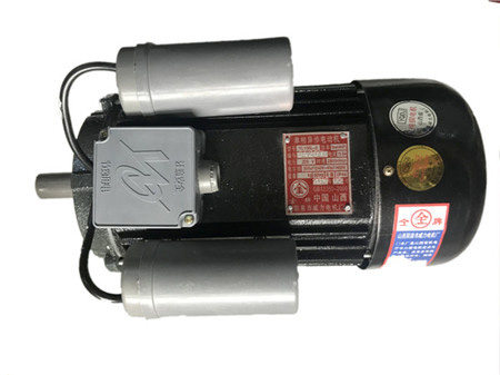 46560
