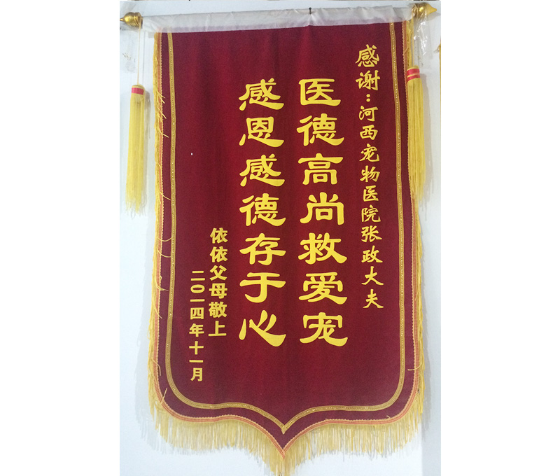 锦旗