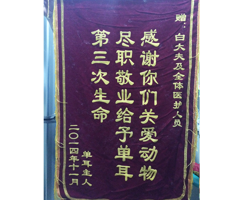 锦旗