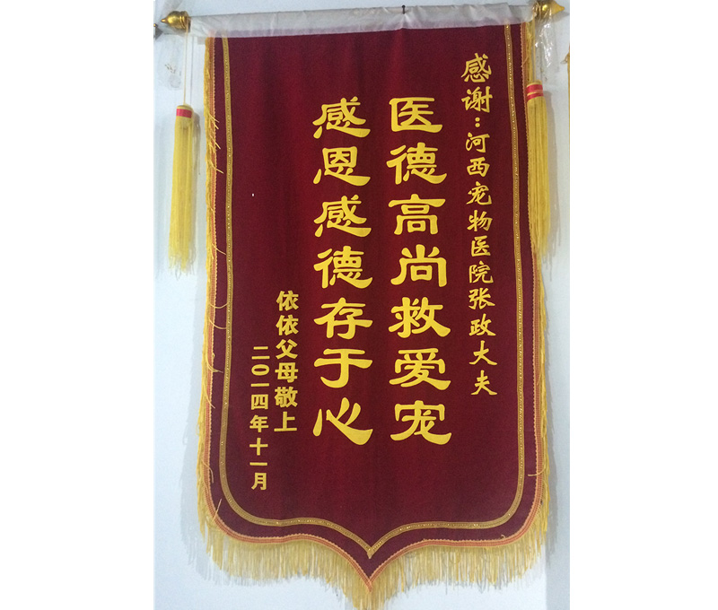 锦旗
