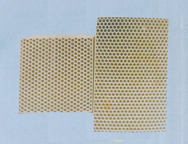 蜂窩狀蓄熱體 Honeycomb heat accumulator