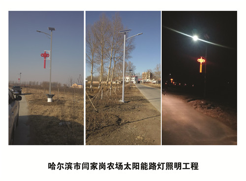 哈爾濱市閆家崗農(nóng)場(chǎng)太陽(yáng)能路燈照明工程