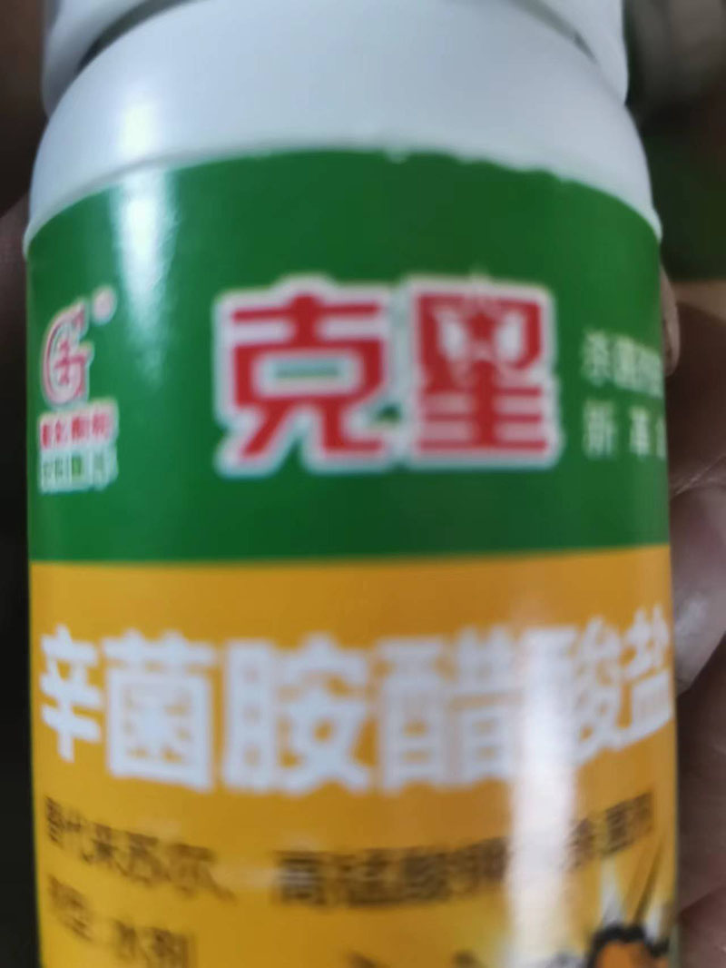 产品展示