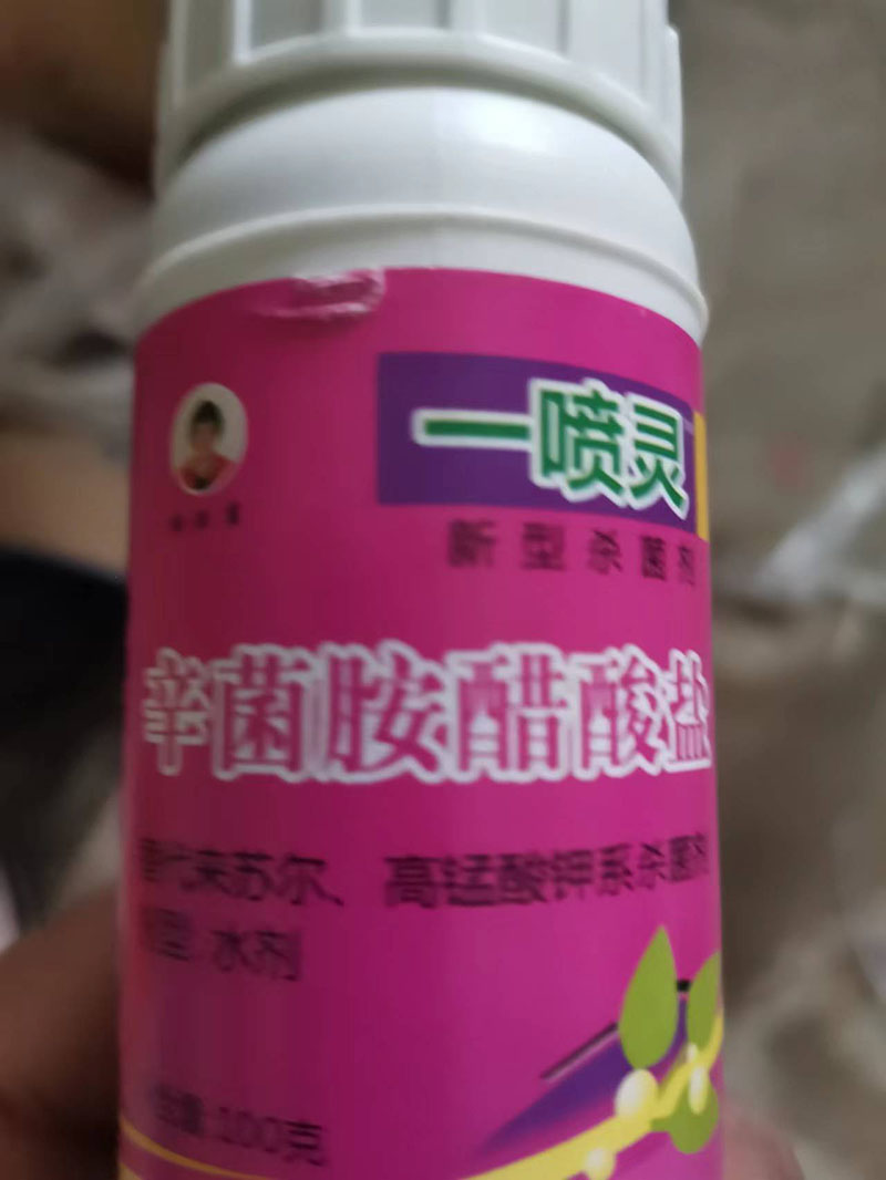 产品展示