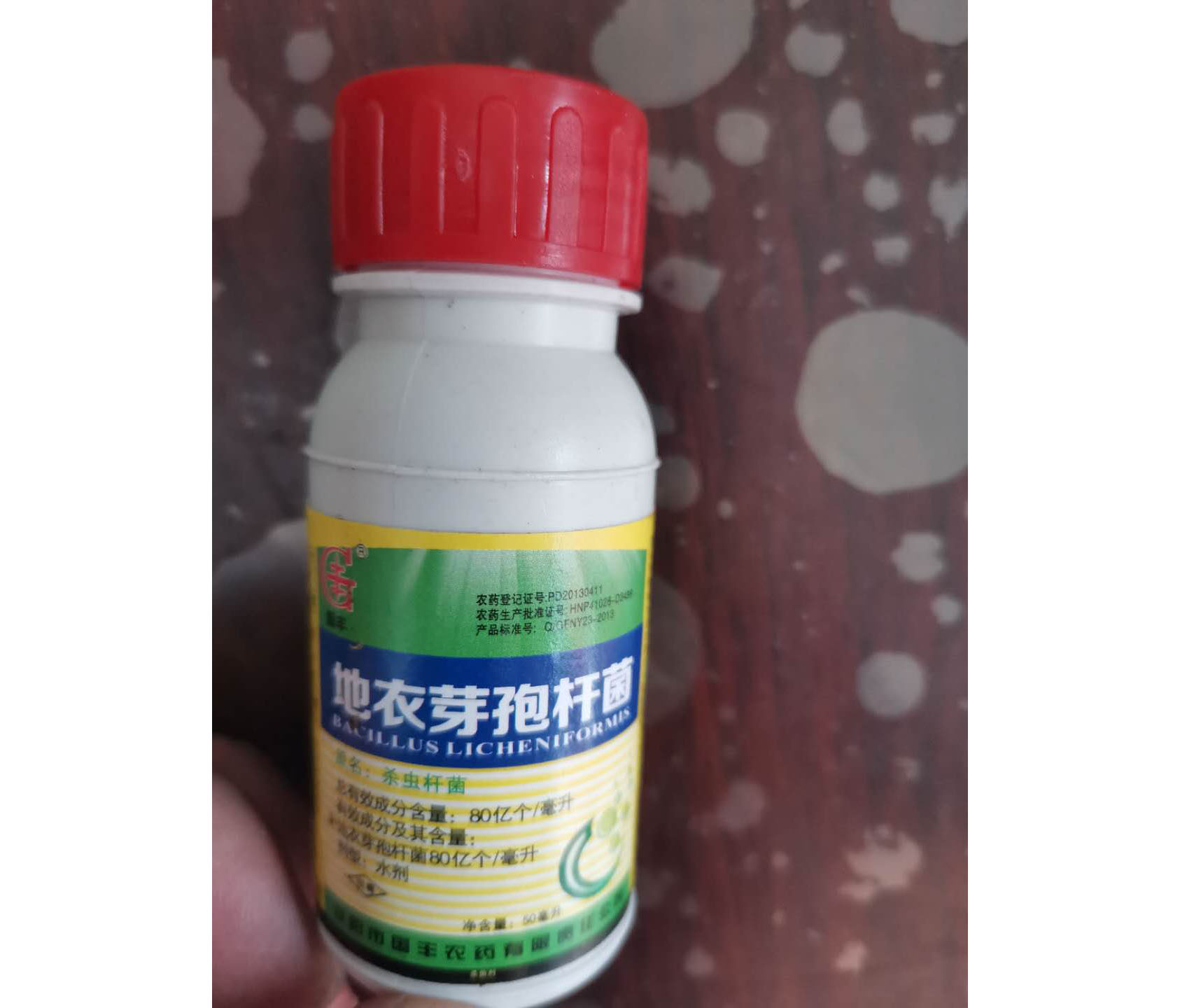 地衣芽孢杆菌