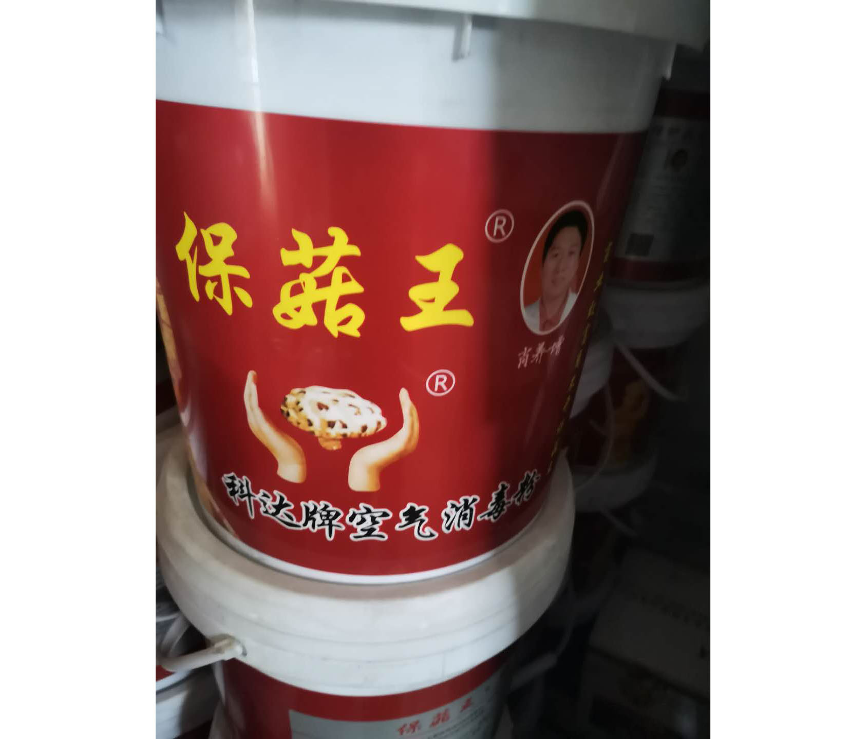 保菇王
