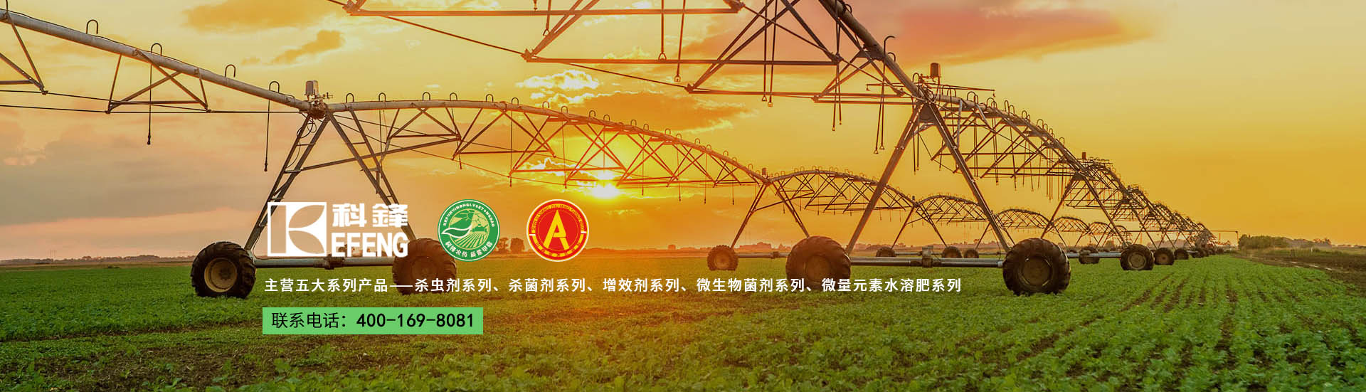 Z6尊龙·凯时(中国)-官方网站_活动2015