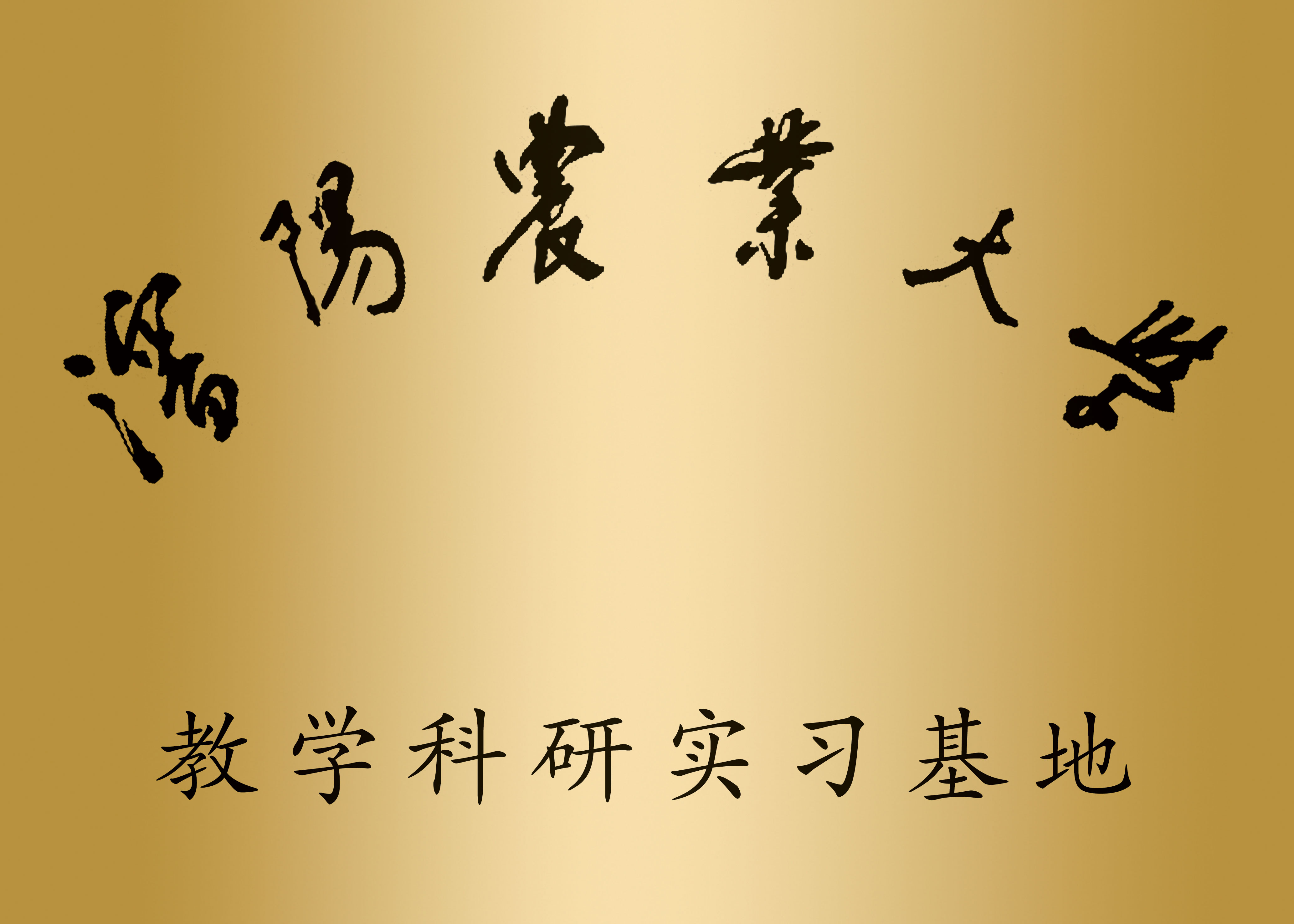 教學(xué)科研實(shí)習(xí)基地