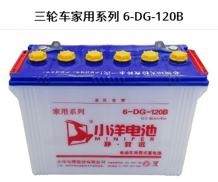 三輪車家用系列6-DG-120B