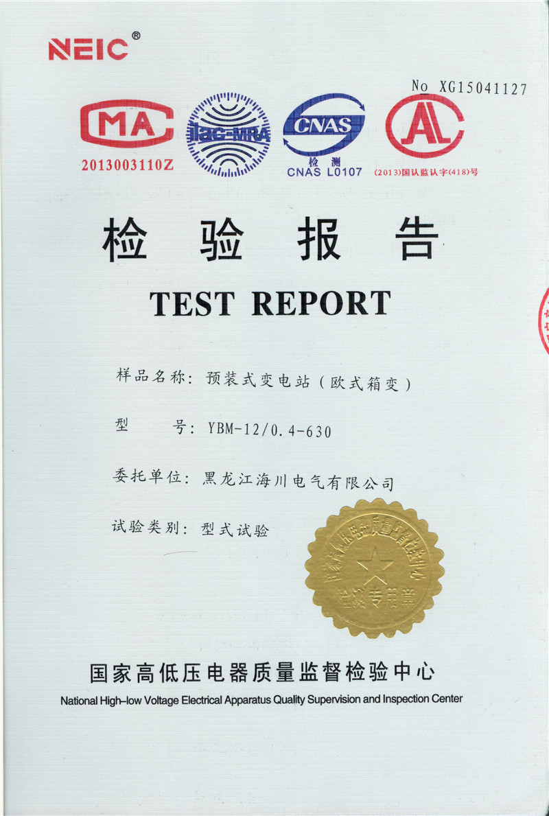 檢驗報告YBM-12