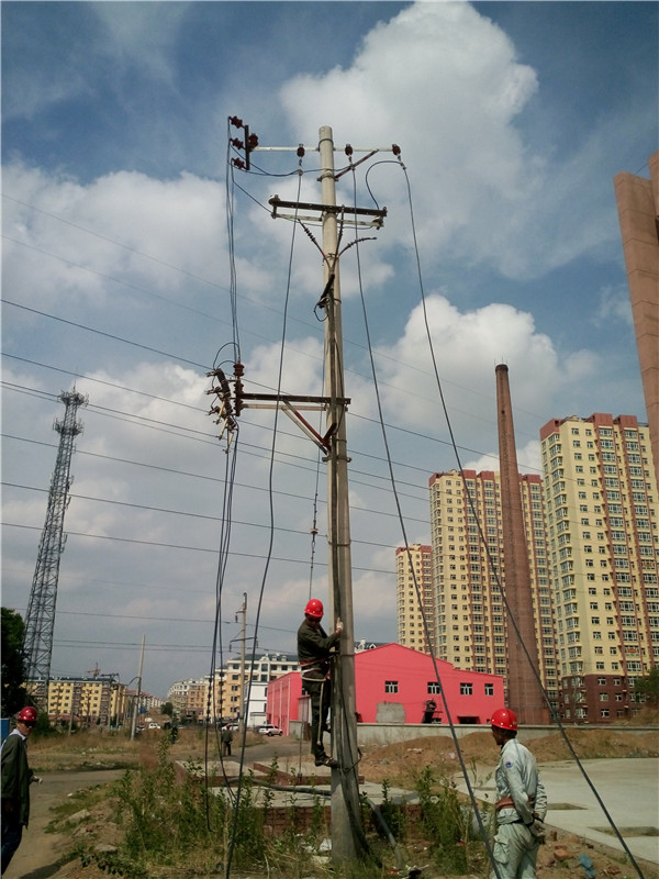 黑龙江省广播电视局齐齐哈尔转播台10kV变电所线路改造工程