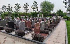 農村墓地存在問題嚴重，殯葬改革勢在必行