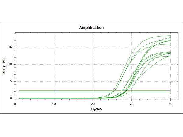 QPCR-1