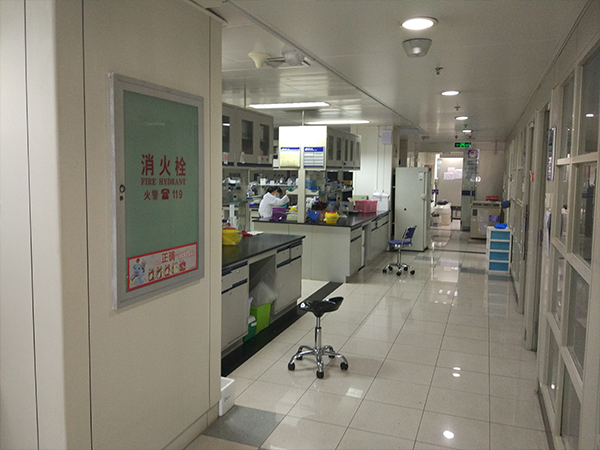 实验平台环境